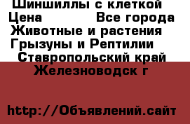 Шиншиллы с клеткой › Цена ­ 8 000 - Все города Животные и растения » Грызуны и Рептилии   . Ставропольский край,Железноводск г.